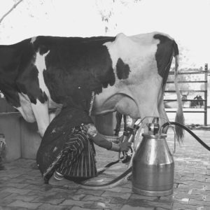 Milking machine